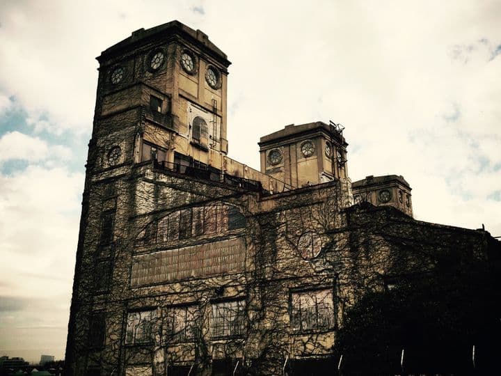 桜の穴場だけ歩く3時間 — 根岸〜三渓園フォトウォーク - 3