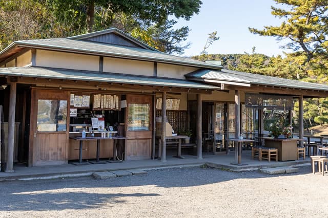 桜の穴場だけ歩く3時間 — 根岸〜三渓園フォトウォーク - 4
